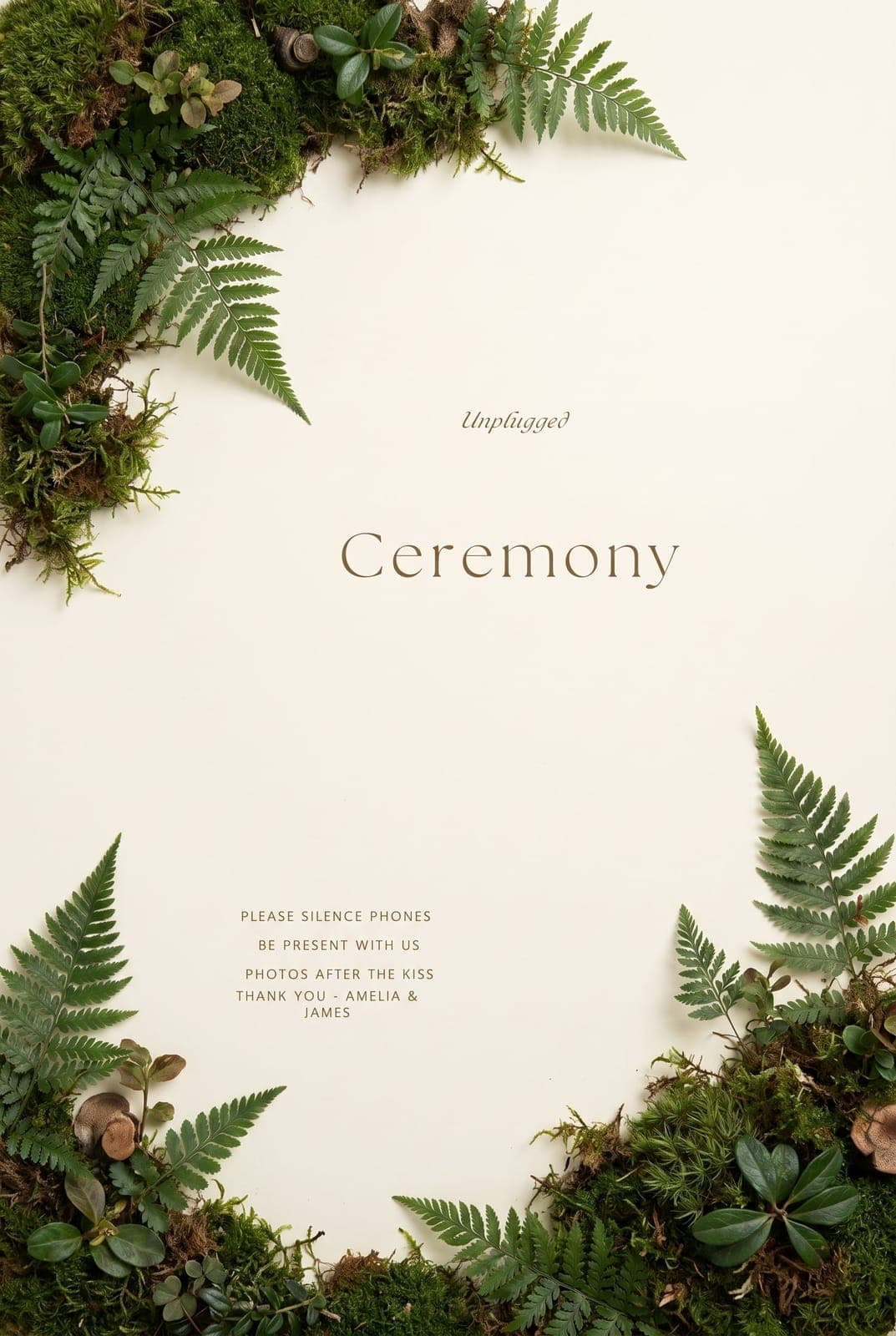 Asymmetric Corner Botanicals — image 2